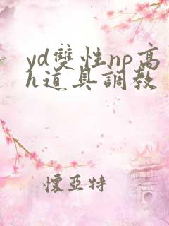 yd双性np高h道具调教