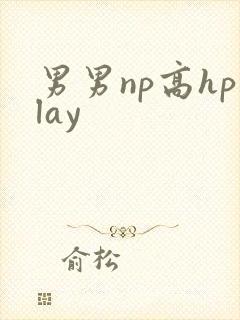 男男np高hplay