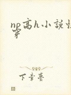 np高h小说快穿