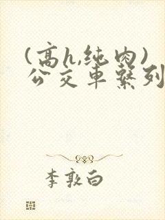 (高h,纯肉)公交车系列