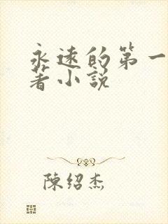 永远的第一名原著小说