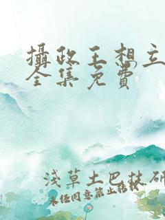 摄政王想立夫纲全集免费