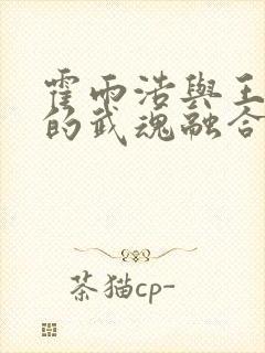 霍雨浩与王秋儿的武魂融合技