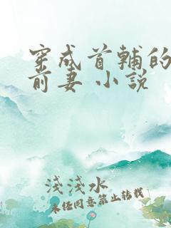 穿成首辅的炮灰前妻 小说