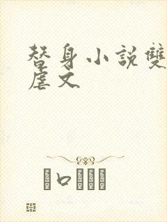 替身小说双男主虐文