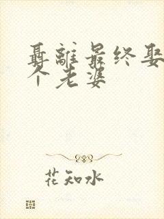 聂离最终娶了几个老婆