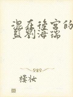 混在后宫的假太监刘海瑞