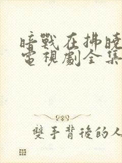 暗战在拂晓之前电视剧全集免费看