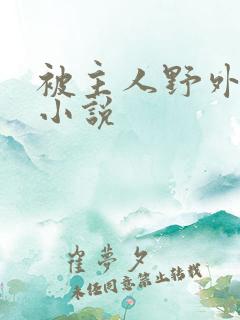 被主人野外调教小说