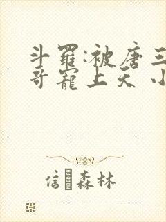 斗罗:被唐三哥哥宠上天 小说