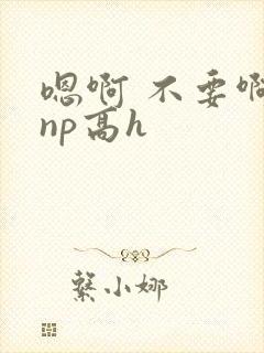 嗯啊 不要啊 np高h
