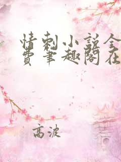 情刺小说全文免费笔趣阁在线阅读