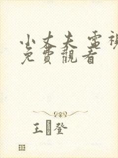 小丈夫 电视剧免费观看