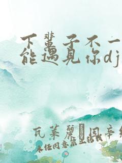下辈子不一定还能遇见你dj