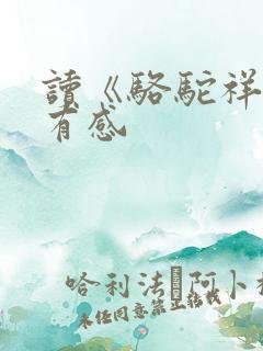 读《骆驼祥子》有感