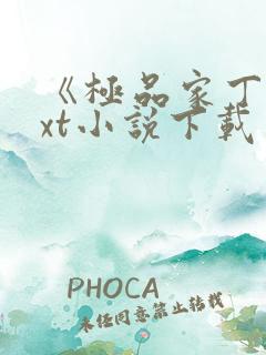 《极品家丁》txt小说下载