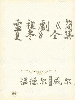 电视剧《简言的夏冬》全集免费观看