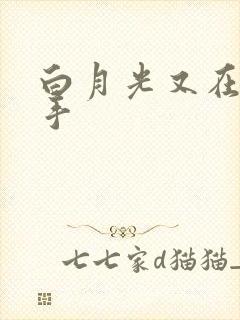 白月光又在闹分手