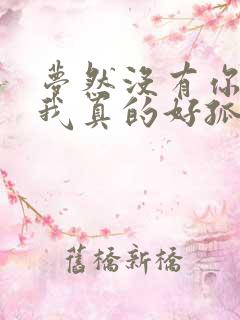 梦然没有你陪伴我真的好孤单