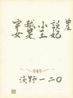 穿越小说农家医女是王妃