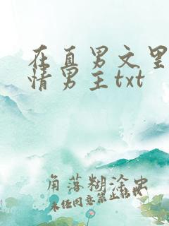 在直男文里撩言情男主txt