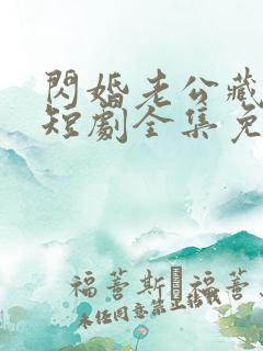 闪婚老公藏不住短剧全集免费观看