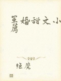 军婚甜文小说推荐