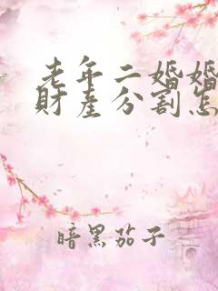 老年二婚婚姻法财产分割怎么分