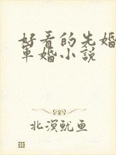 好看的先婚后爱军婚小说