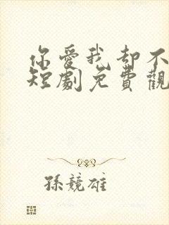 你爱我却不懂我短剧免费观看