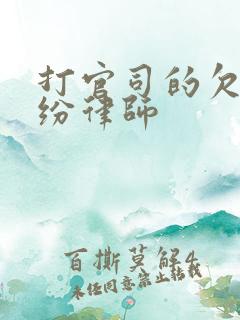 打官司的欠款纠纷律师