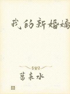 我的新婚娇妻被