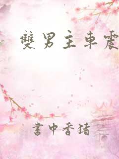 双男主车震小说