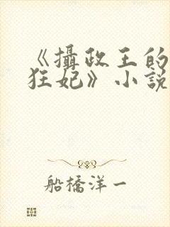 《摄政王的神医狂妃》小说