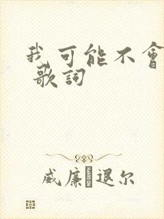 我可能不会爱你 歌词