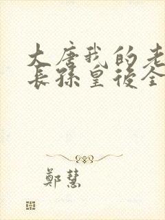 大唐我的老婆是长孙皇后全文免费阅读