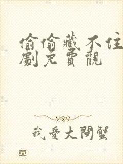 偷偷藏不住电视剧免费观