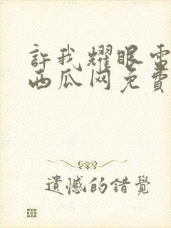 许我耀眼电视剧西瓜网免费观看