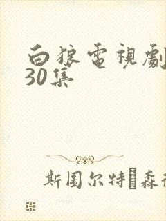 白狼电视剧全集30集