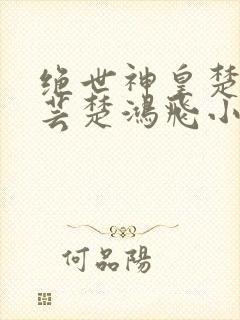 绝世神皇楚风楚芸楚鸿飞小说