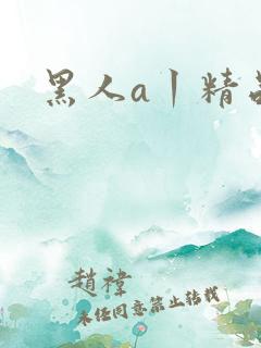 黑人a丨精品区