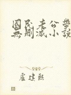 国民老公带回家无删减小说