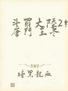 斗罗大陆2绝世唐门 王冬