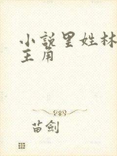 小说里姓林的男主角