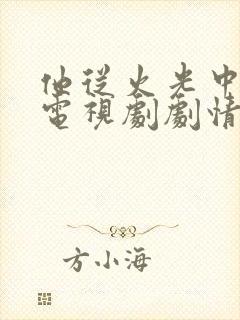 他从火光中走来电视剧剧情