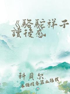 《骆驼祥子》的读后感