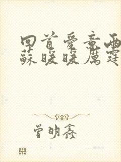 回首爱意两茫茫苏暖暖厉霆深全文阅读小说