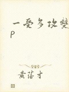 一受多攻双性np