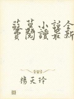 苏莫小说全文免费阅读最新章节