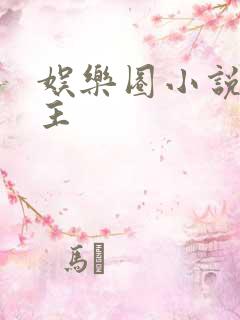 娱乐圈小说双男主